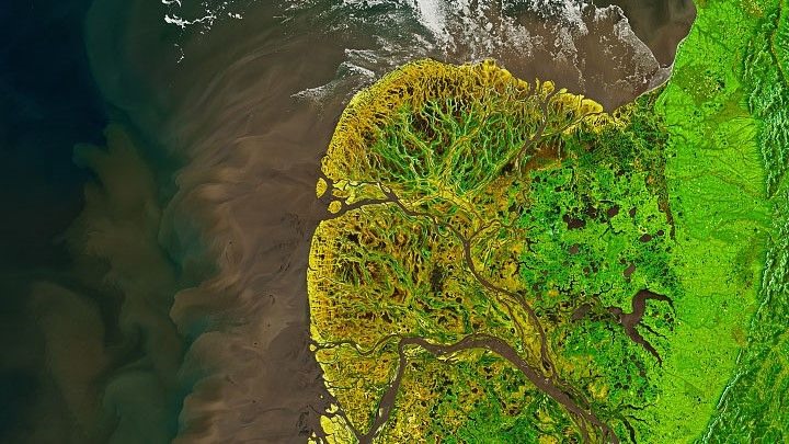 Ảnh đồng bằng Yukon-Kuskokwim, nơi sông Yukon đổ vào biển Bering ở Alaska, Mỹ. Ảnh được vệ tinh Landsat 8 chụp ngày 19.5.2021. Ảnh: NASA