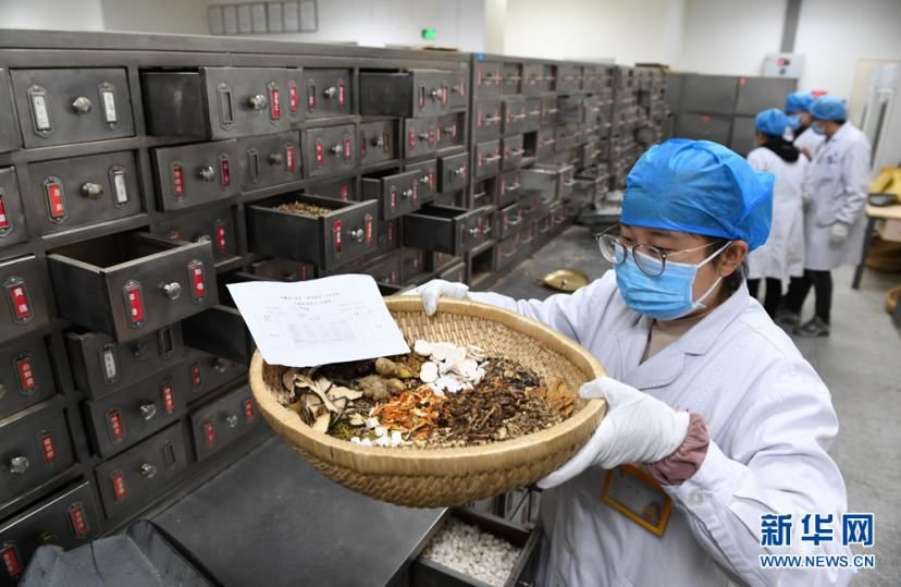 Các bác sĩ y học cổ truyền Trung Quốc đang tiến hành bốc thuốc để điều trị cho bệnh nhân nhiễm COVID-19. Ảnh: Xinhua
