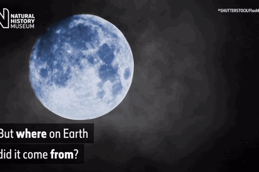 Hiện tượng trăng xanh sẽ diễn ra trong tuần này. Ảnh minh họa. Nguồn: Bảo tàng Lịch sử Tự nhiên