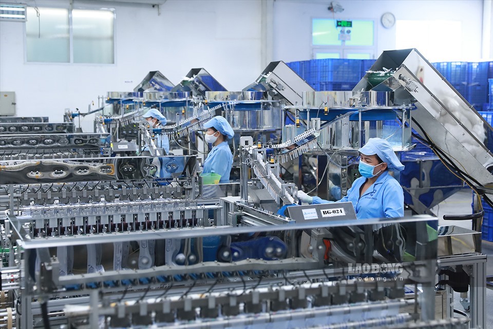 Các chuyên gia cho rằng cần nâng cao trình độ, đào tạo những nhân lực chất lượng cao cho quá trình sản xuất. Ảnh Hải Nguyễn