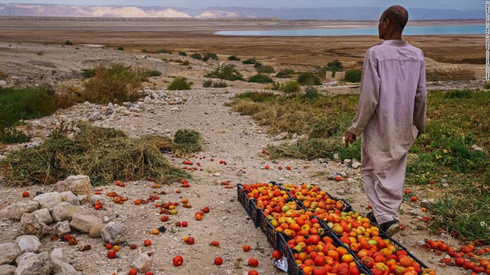 Một nông dân trồng cà chua nhìn ra khu vực mà Biển Chết đã rút đi ở Ghor Haditha, Jordan, vào ngày 10.4.2021. Ảnh: AFP