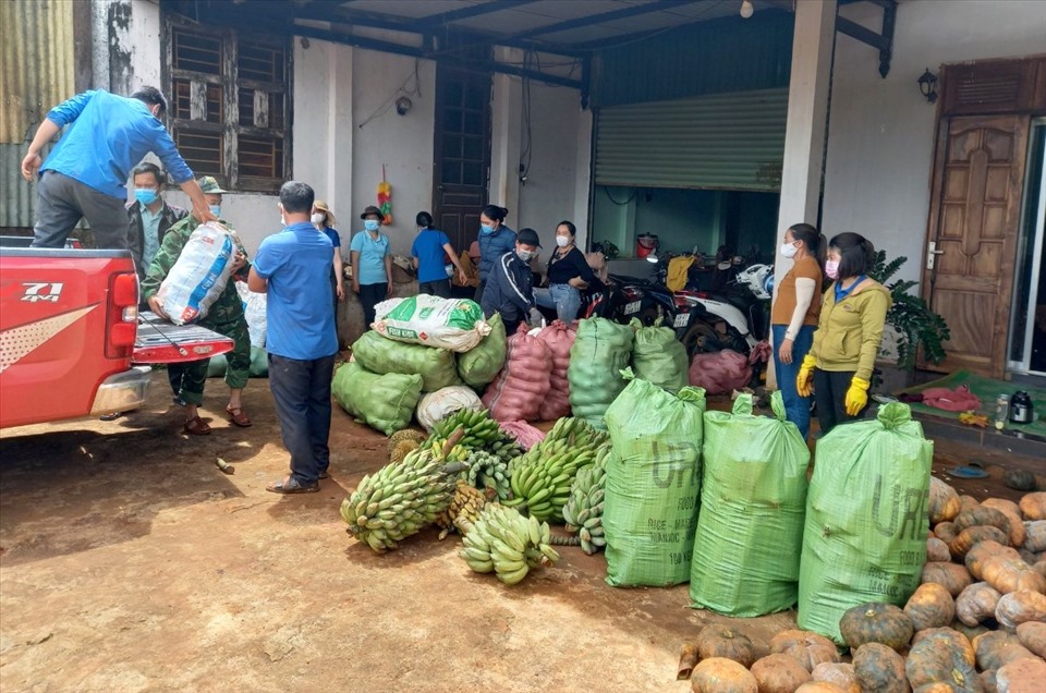 Các chiến sỹ bộ đội cùng với nhân dân tích cực hưởng ứng việc thu hoạch, thu gom nông sản gửi tặng người dân thành phố Hồ Chí Minh. Ảnh: Hồng Thắm