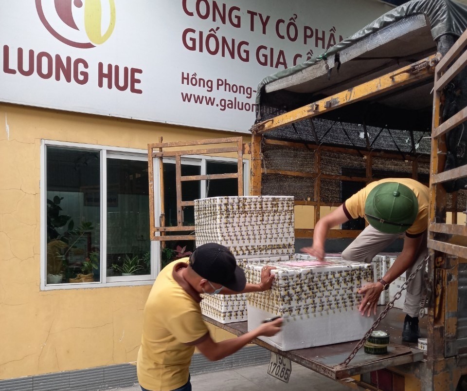 Hàng hóa được tập kết để chuyển tới thành phố Hồ Chí Minh
