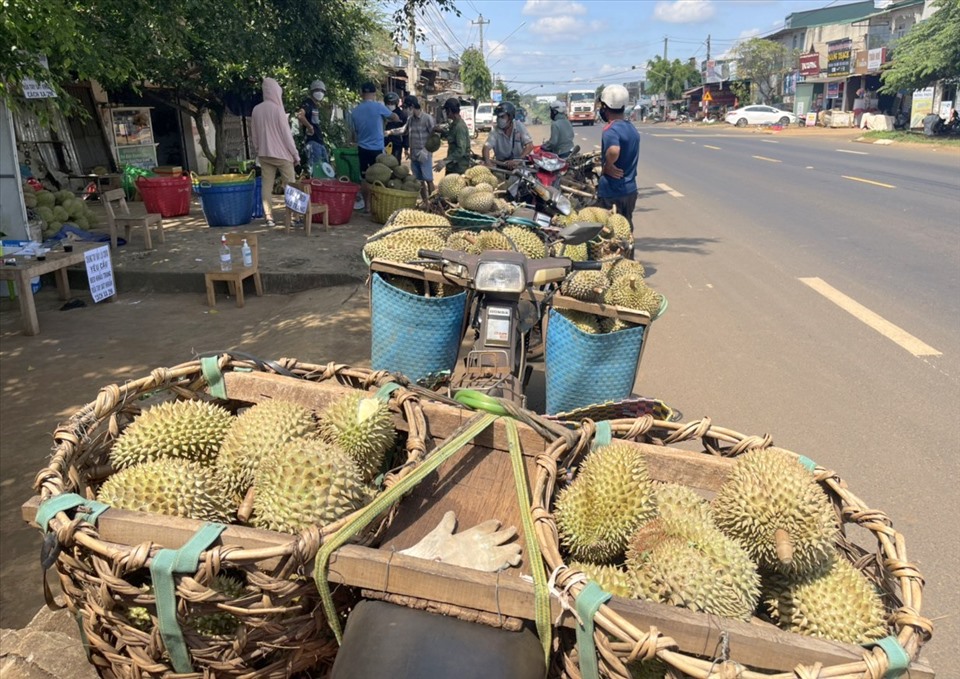 Người dân ở huyện Krông Pắk buôn bán sầu riêng trên Quốc lộ 26. Ảnh: Phan Tuấn