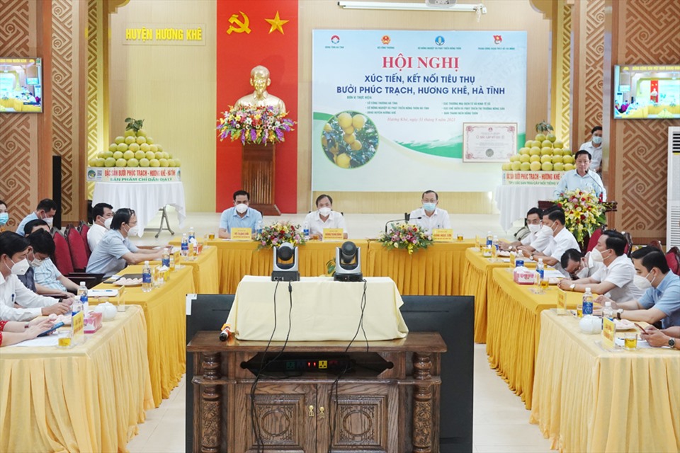 Hội nghị trực tuyến xúc tiến tiêu thụ bưởi Phúc Trạch tại điểm cầu huyện Hương Khê, Hà Tĩnh. Ảnh: Trần Tuấn.