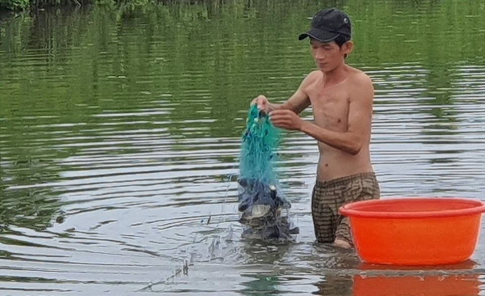 Người dân xã Long Điền Đông A, huyện Đông Hải, tỉnh Bạc Liêu giăng lưới bắt cá phi làm khô gửi cho bà con tại TP.HCM và các tỉnh miền Đông đang gặp khó khăn do dịch bệnh.