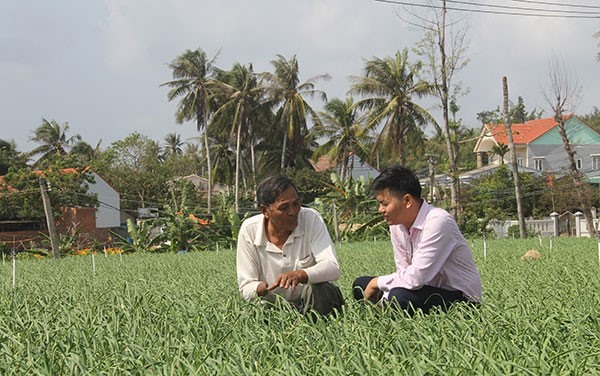 Ông Dương Văn Nhiều ở An Hải, huyện Lý Sơn (Quảng Ngãi) chia sẻ mô hình trồng tỏi với cán bộ ngân hàng.