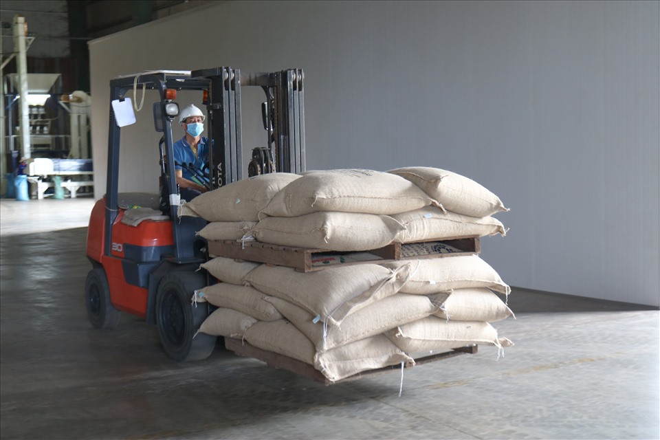 Lô cà phê đặc sản ở Đắk Lắk được tập kết, chuyển vào container để gửi sang thị trường Anh. Ảnh: B.T