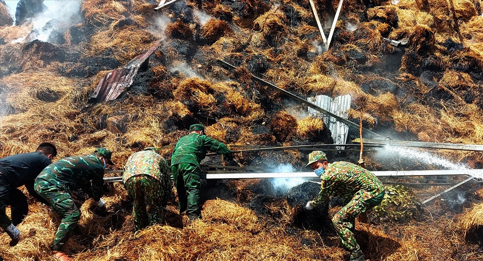 Bộ đội Biên phon tỉnh An Giang hỗ trợ dân khống chế vụ hỏa hoạn đe dọa cánh đồng lúa chín. Ảnh: CK