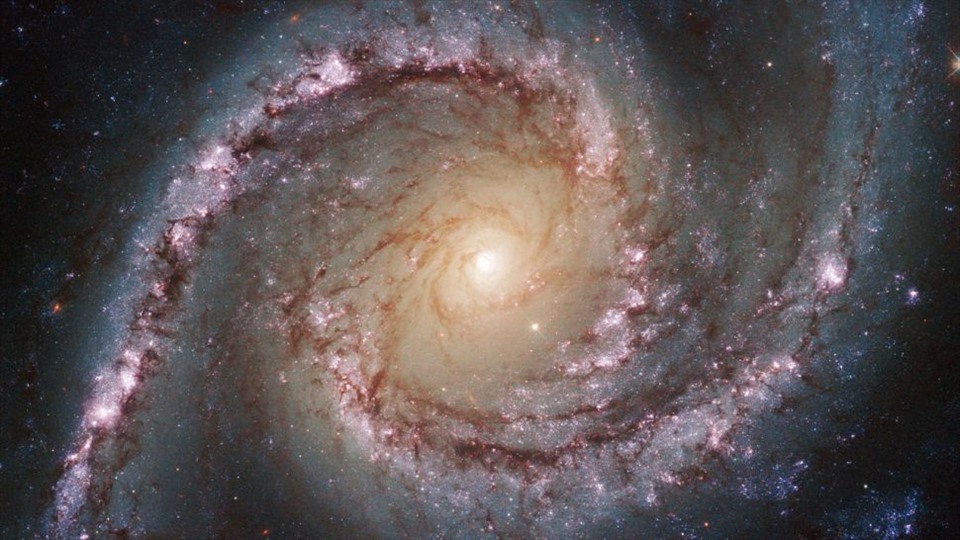 NGC 1566 nằm cách Trái đất khoảng 40 triệu năm ánh sáng và có một hố đen siêu lớn đang hoạt động ở tâm của nó. Ảnh: ESA/Hubble/NASA