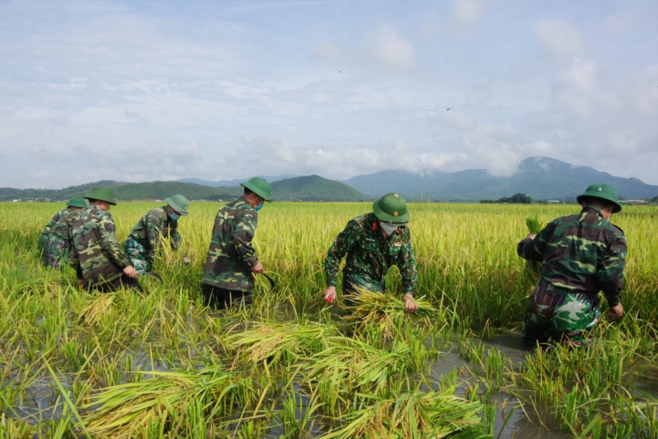 Tranh bộ đội giúp dân gặt lúa là một tác phẩm nghệ thuật đậm chất quê hương, nó mang đến cho chúng ta những giá trị tinh thần và nghĩa cử cao cả của người lính. Hãy chiêm ngưỡng tác phẩm này để cảm nhận sự dũng cảm, tình người và lòng yêu nước của những người lính Việt Nam!