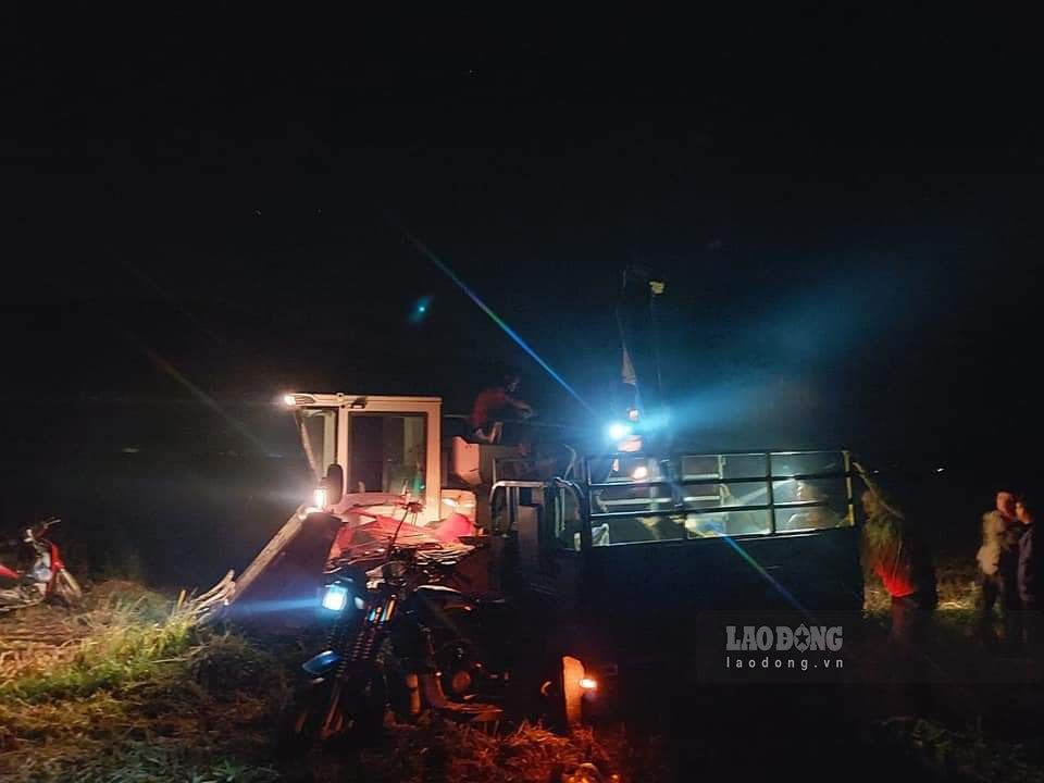 Trong đêm 10.9, trên các cánh đồng tại xã Yên Phú vẫn rộn rã tiếng máy gặt lúa, không khí thu hoạch “ Mùa vàng trong đêm” diễn ra hết sức khẩn trương.