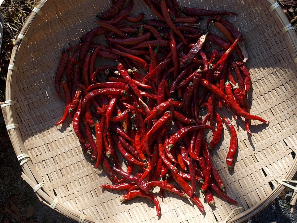 Sấy khô cũng là phương thức bảo quản ớt trong một khoảng thời gian dài. Ảnh: Xinhua