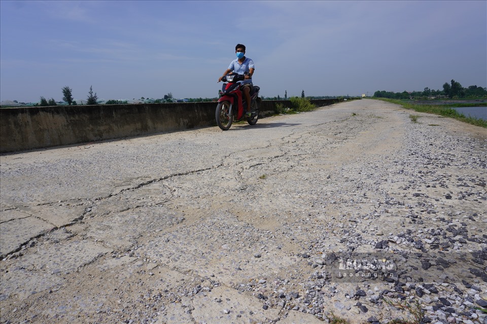 Anh Cao Bá Thành (trú tại xã Hoằng Phong, huyện Hoằng Hóa) cho biết, tuyến đê này bị lún nứt từ lâu, năm 2019 có thấy lực lượng chức năng về đây sửa, tuy nhiên chỉ được một thời gian ngắn, xong đâu lại vào đó. Đến nay, việc lún nứt lại càng nhiều hơn.