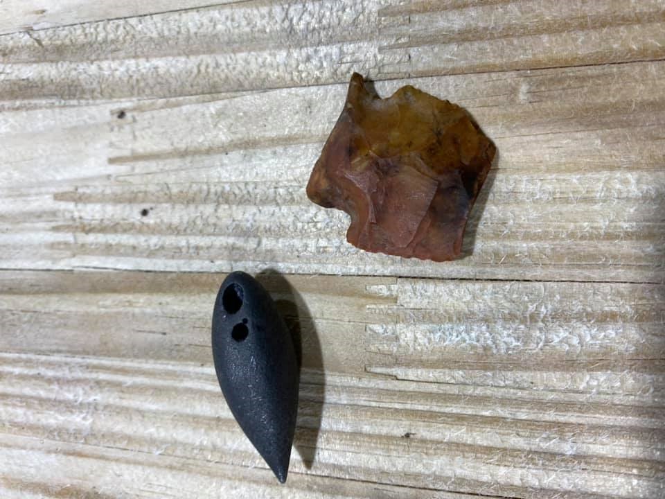 Viên đá và mũi tên hàng nghìn năm tuổi trong dạ dày cá sấu Mỹ. Ảnh: Red Antler Processing