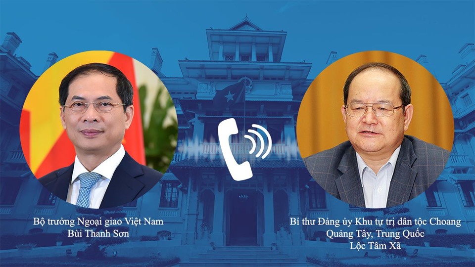 Bộ trưởng Bùi Thanh Sơn điện đàm. Ảnh: BNG