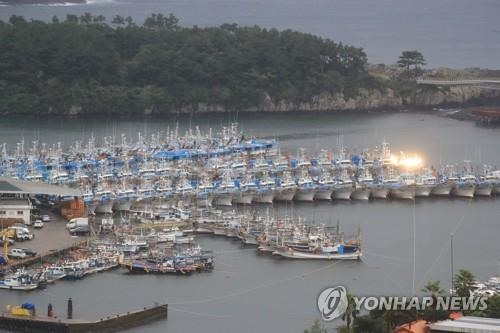 Tàu cá ở đảo Jeju ngày 16.9 trước khi bão Chanthu đổ bộ. Ảnh: Yonhap