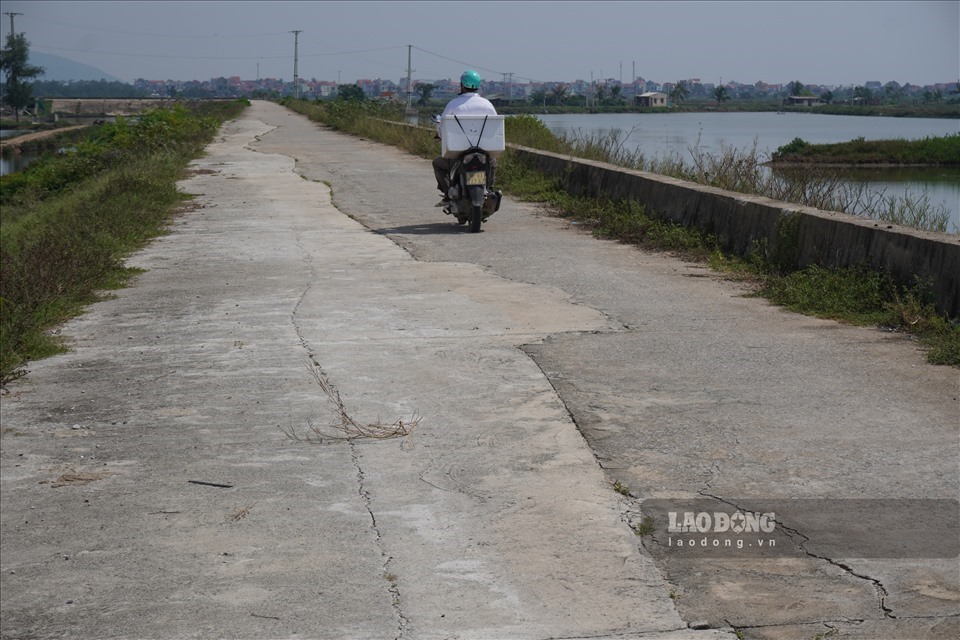 Tương tự, tuyến đê tả sông Mã qua địa bàn các xã Hoằng Tân, Hoằng Xuyên của huyện Hoằng Hóa dù được tu sửa trước đó, những đến nay lại tiếp tục lún, nứt.