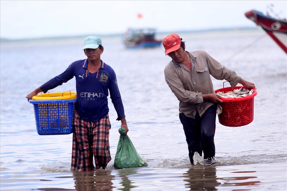 Ngư dân tại huyện Cần Giờ đã có thể ra khơi đánh bắt cá trở lại. Trong ảnh là 2 ngư dân đang mang những giỏ cá vừa bắt được lên giao cho tiểu thương ở chợ Cần Giờ.