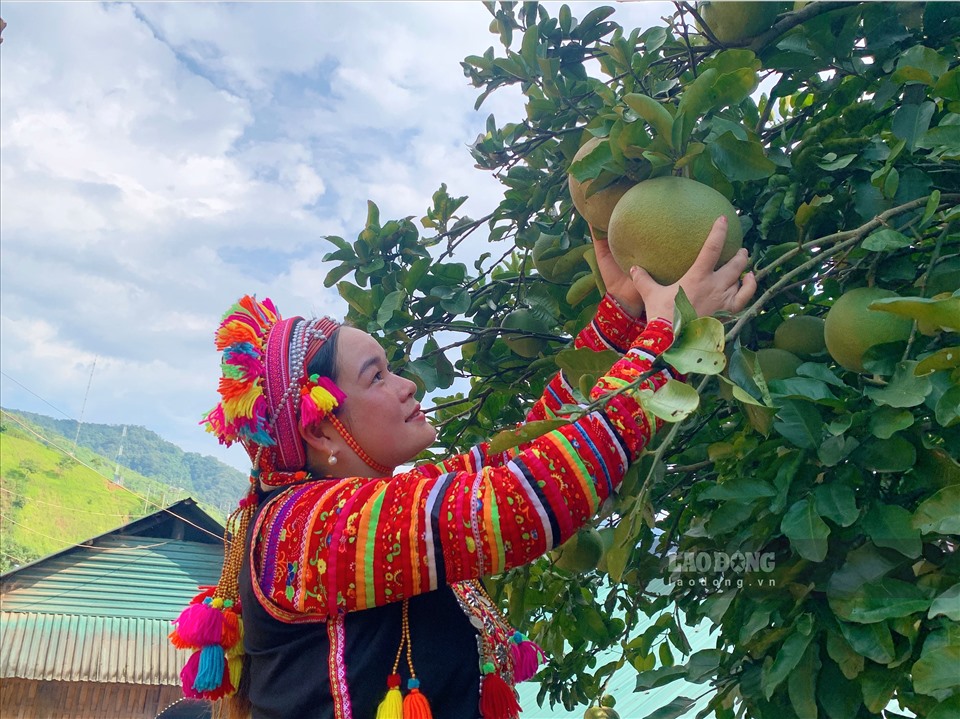 Để được một chiếc áo đẹp còn tùy ở các trang trí những đường diềm tỉ mỉ trên tay áo, thân áo nổi bật trên nền vải đen với nhiều màu sắc khác nhau.