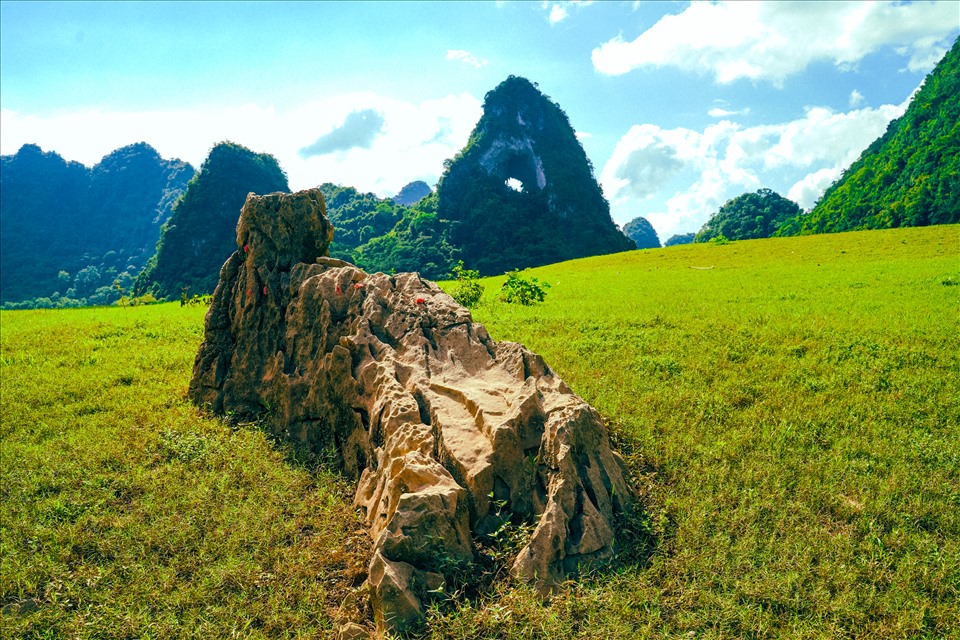 Tới mùa khô của miền đất Cao Bằng, khi đông tàn, xuân đến, dưới chân núi Mắt Thần nơi trước kia là đáy hồ nay trở thành một thảm cỏ xanh mướt như nhung.