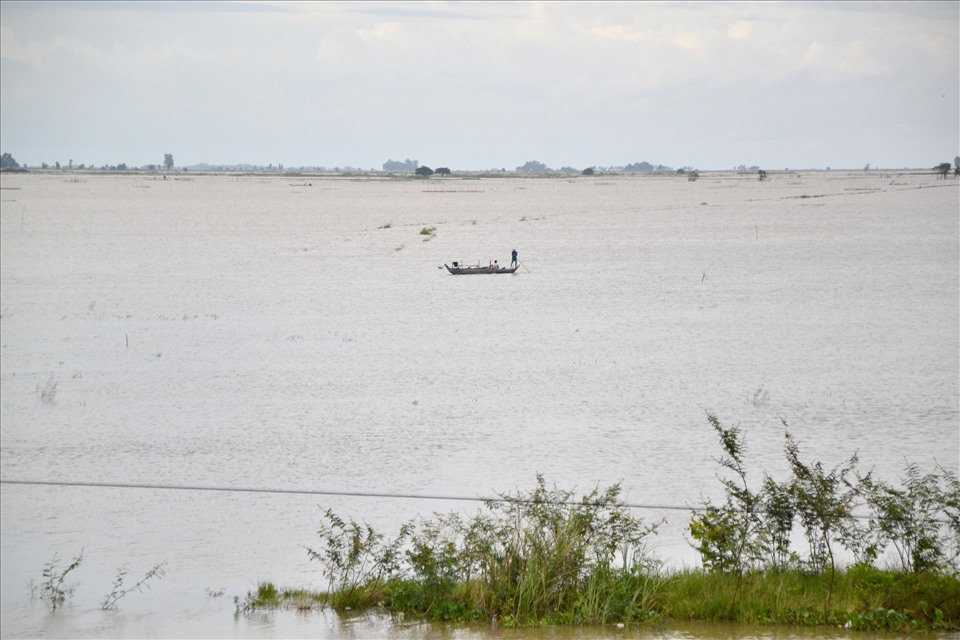 Cánh đồng xã Phú Lộc (Tân Châu) tiếp giáp xã Om-sà-no (huyện Léc- đéc, tỉnh Cần-đan, Campuchia), như chìm dưới làn nước lũ năm 2019. Ảnh: LT