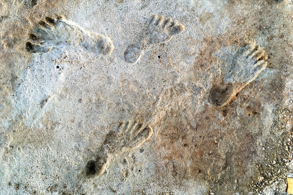 Dấu chân cổ đại tại công viên quốc gia White Sands được xác định là bằng chứng sớm nhất được biết đến về con người ở Bắc Mỹ. Ảnh: NPS, USGS & Bournemouth University