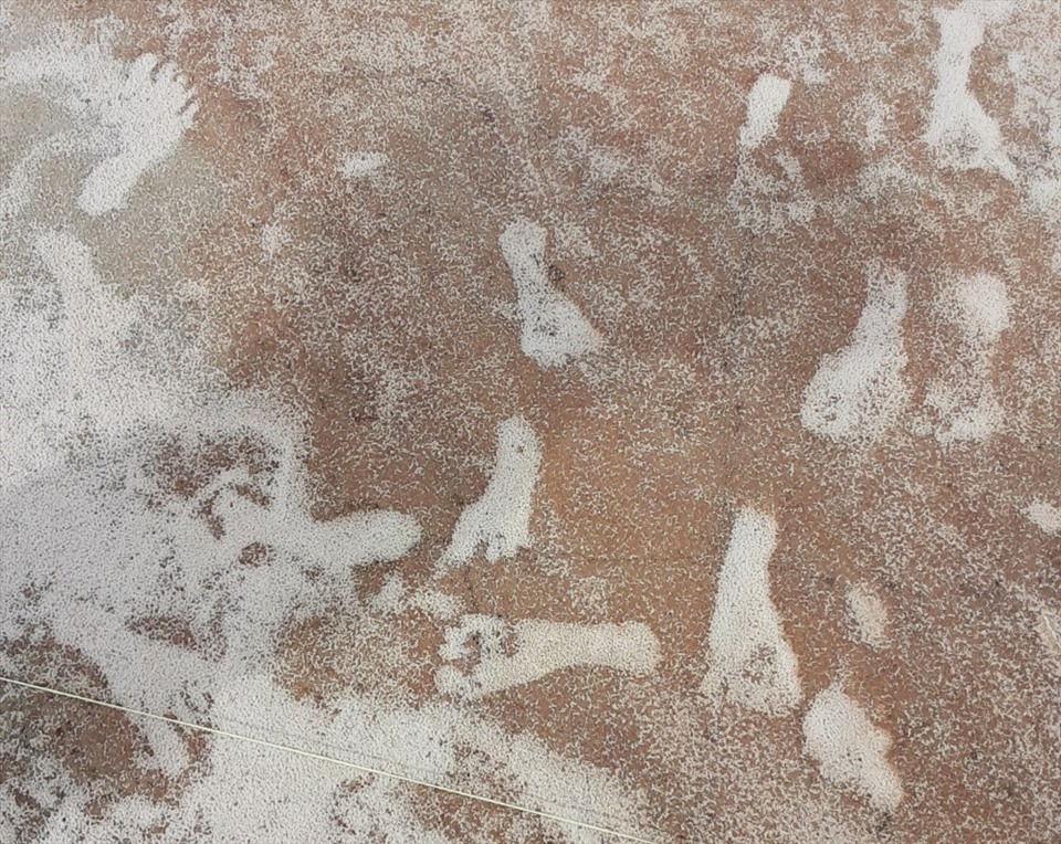 Dấu chân cổ đại tại công viên quốc gia White Sands được xác định là bằng chứng sớm nhất được biết đến về con người ở Bắc Mỹ. Ảnh: NPS, USGS & Bournemouth University