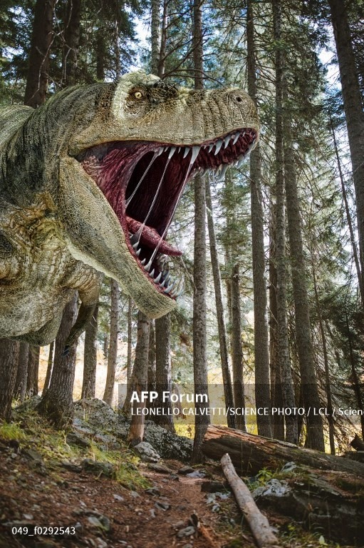 Ảnh minh họa khủng long bạo chúa. Ảnh: AFP