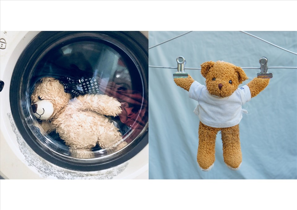 Những bí quyết giặt gấu bông đúng cách tại nhà. Ảnh minh họa: Hải Ngọc