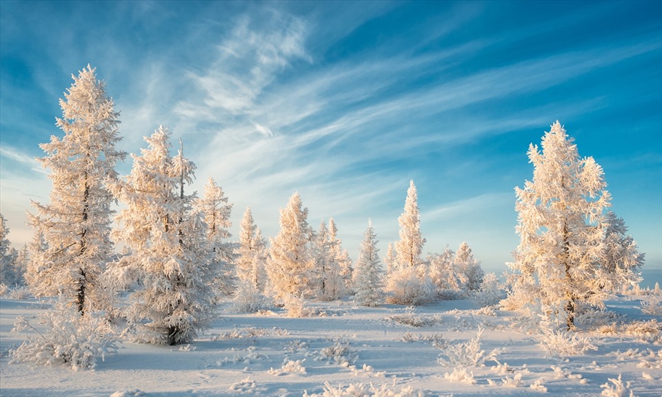 Siberia có thời tiết lạnh giá. Ảnh: VCG