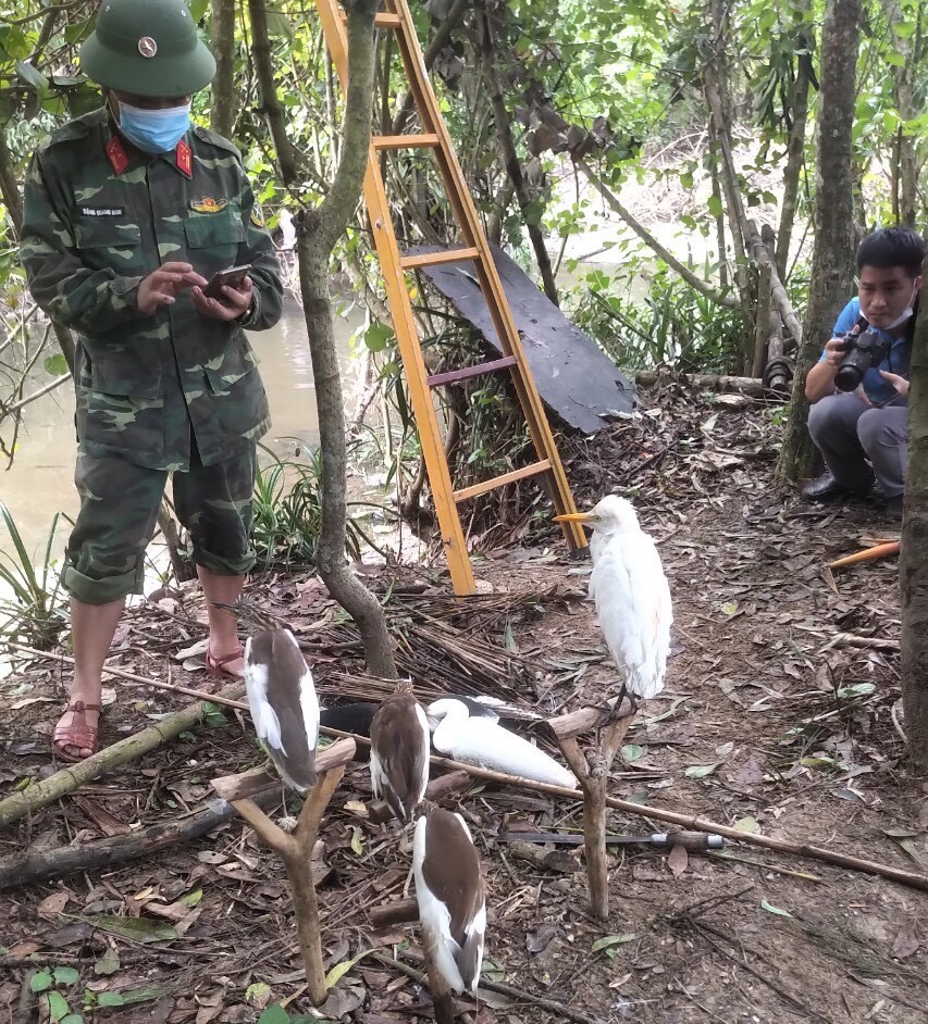 Lực lượng chức năng Lộc Hà thu giữ nhiều chim mồi còn sống để thả về tự nhiên. Ảnh: KL.
