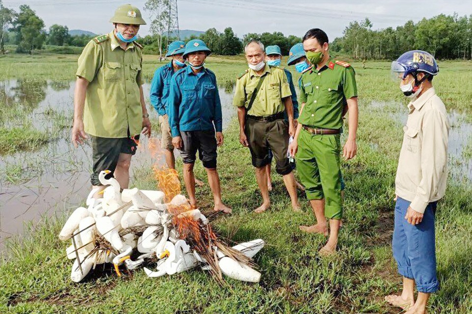 Lực lượng chức năng huyện Can Lộc thu gom, tiêu hủy chim giả dùng bẫy chim trời. Ảnh: CA.