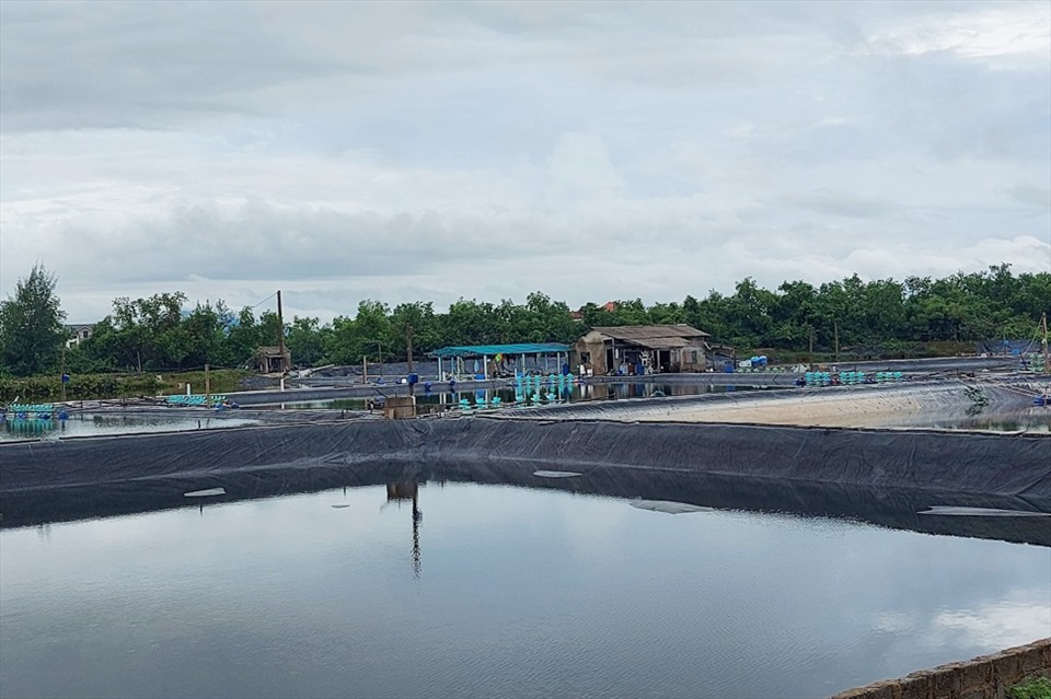Hiện Hà Tĩnh vẫn còn nhiều hồ nuôi tôm trước lo ngại bị thiệt hại bởi bão, lụt. Ảnh: Trần Tuấn.