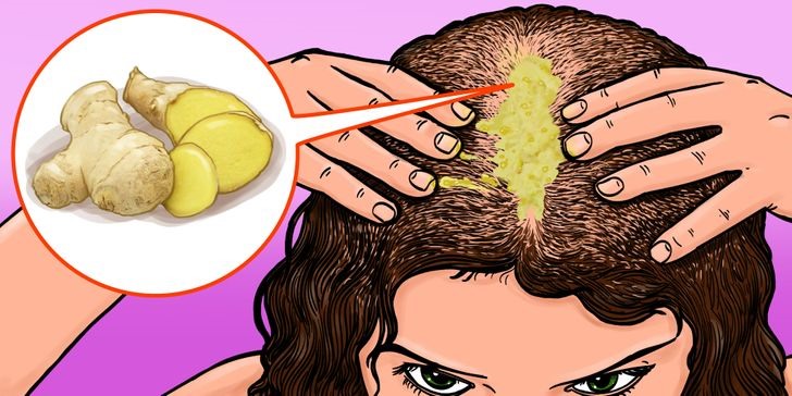 Gừng có chứa các hợp chất hoạt tính sinh học có thể cải thiện sự phát triển của tóc và kháng nấm, chống oxy hóa và kháng khuẩn trên da đầu. Hãy tận dụng nước ép hoặc dầu của nó. Kết hợp nó với dầu dừa, sau đó thoa lên tóc. Dùng mũ trùm kín đầu trong 30 phút rồi gội sạch. Duy trì thói quen này sẽ giúp tóc mọc hiệu quả.