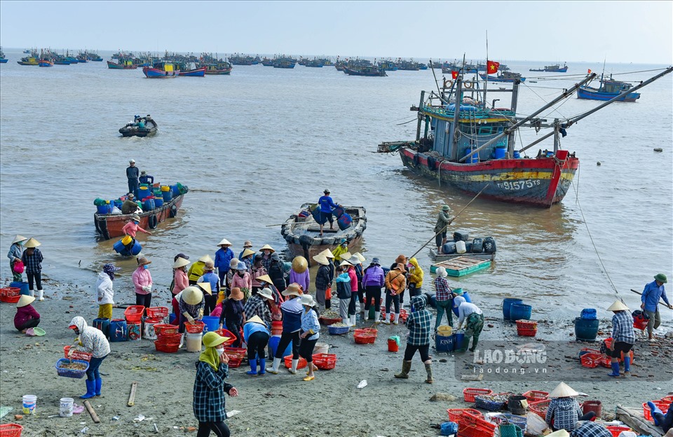Đến xã Ngữ Lộc, huyện Hậu Lộc (Thanh Hóa) những ngày gần Tết Nguyên đán 2022, không khi đánh bắt, chết biến thủy hải sản trở nên nhộn nhịp hơn so với ngày thường.