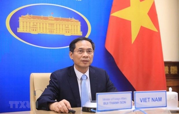 Bộ trưởng Ngoại giao Bùi Thanh Sơn. Ảnh: TTXVN