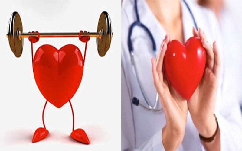 Trái tim khỏe mạnh hơn: Khi thức ăn của bạn được tiêu hóa một cách thích hợp và trong khoảng thời gian hợp lý. Điều này sẽ giúp tim bạn đập ở nhịp độ bình thường, nhờ đó giúp cho tim khỏe mạnh hơn.