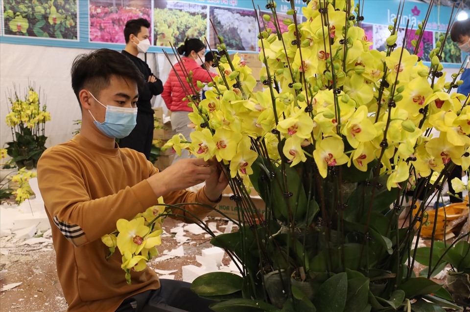 Mỗi ngày làm việc của thợ cắm hoa trong dịp Tết có thể sẽ kéo dài cả chục tiếng. Ảnh: Nguyễn Thuý.