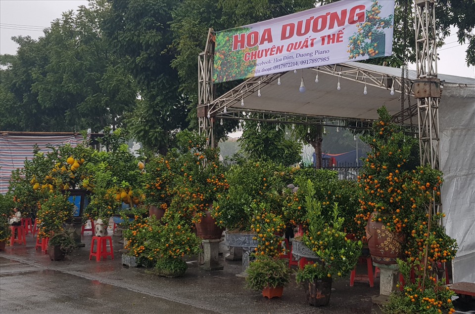 Chợ hoa Xuân Ninh Bình được tổ chức với quy mô 255 gian hàng. Ảnh: NT