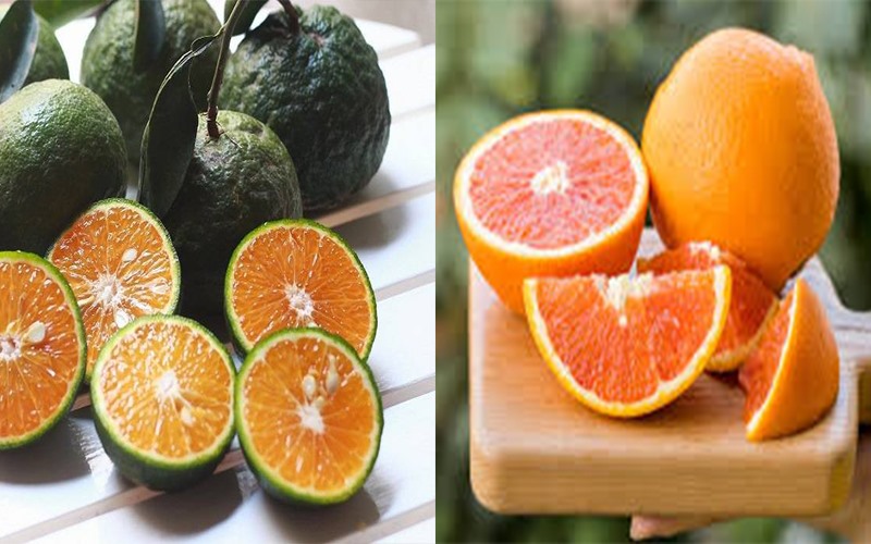Cam: Cam có thể tăng cường sức khỏe của bạn một cách đáng kể. Thành phần vitamin C có trong nước cam không chỉ tăng cường khả năng miễn dịch và ngăn ngừa bệnh tật. Nó còn có thể tiêu diệt vi trùng và thải độc tố ra khỏi cơ thể một cách hiệu quả, nhờ thế giúp bạn luôn cảm thấy nhẹ nhàng.