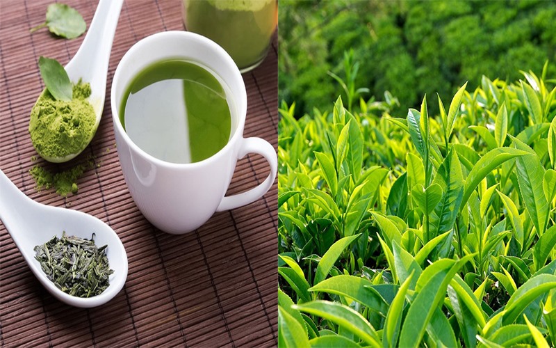 Trà xanh: Các chất chống oxy hóa mạnh mẽ có trong trà xanh có thể cải thiện tỷ lệ trao đổi chất của bạn và hỗ trợ giảm cân. Ngoài ra, nó còn giúp cơ thể bạn đào thải chất độc ra ngoài một cách tự nhiên.