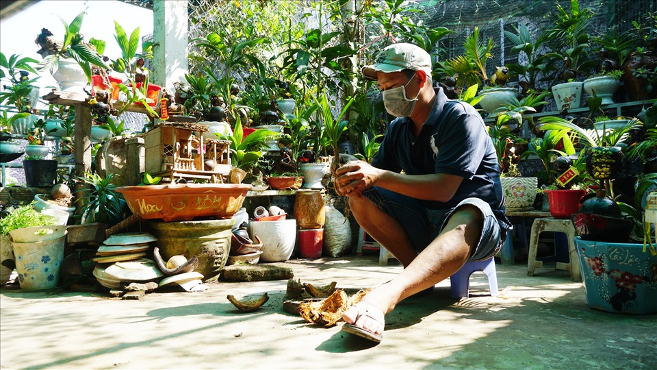 Chuẩn bị bước sang năm Nhâm Dần 2022, anh Lê Hồng Quân (sinh năm 1988, huyện Châu Thành, tỉnh Bến Tre) lại tất bật với những tác phẩm bonsai dừa hình linh vật độc đáo.
