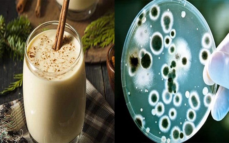 Chống nhiễm trùng: Sữa quế có khả năng chống lại nhiều loại vi khuẩn nhờ hợp chất là cinnamaldehyde giúp chống lại các bệnh nhiễm trùng. Tinh dầu và các đặc tính kháng khuẩn, kháng vi rút, kháng nấm của quế chắc chắn khiến nó trở thành một loại gia vị tuyệt vời.