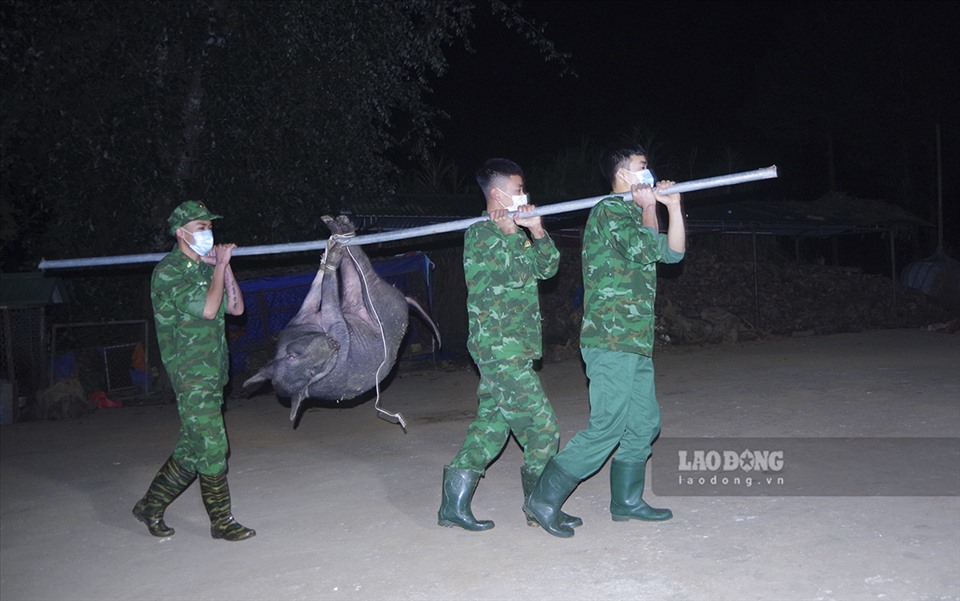Ngay từ sáng sớm, những người lính biên phòng được phân công nhiệm vụ phải dậy sớm để mổ lợn gói bánh chưng xanh.