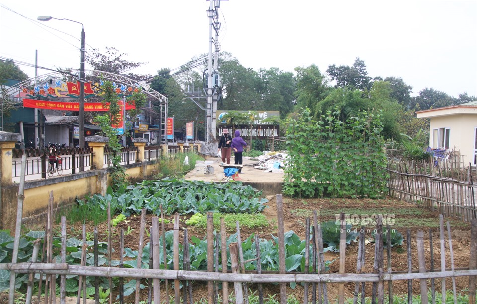 Vì thấy công trình 10 năm không sử dụng, đất bỏ hoang hoá nên người dân địa phương đã tận dụng những khoảng trống để trồng rau. Những luống rau xanh tốt được chăm sóc thường xuyên trái ngược lại với cảnh hoang hoá của công trình này.
