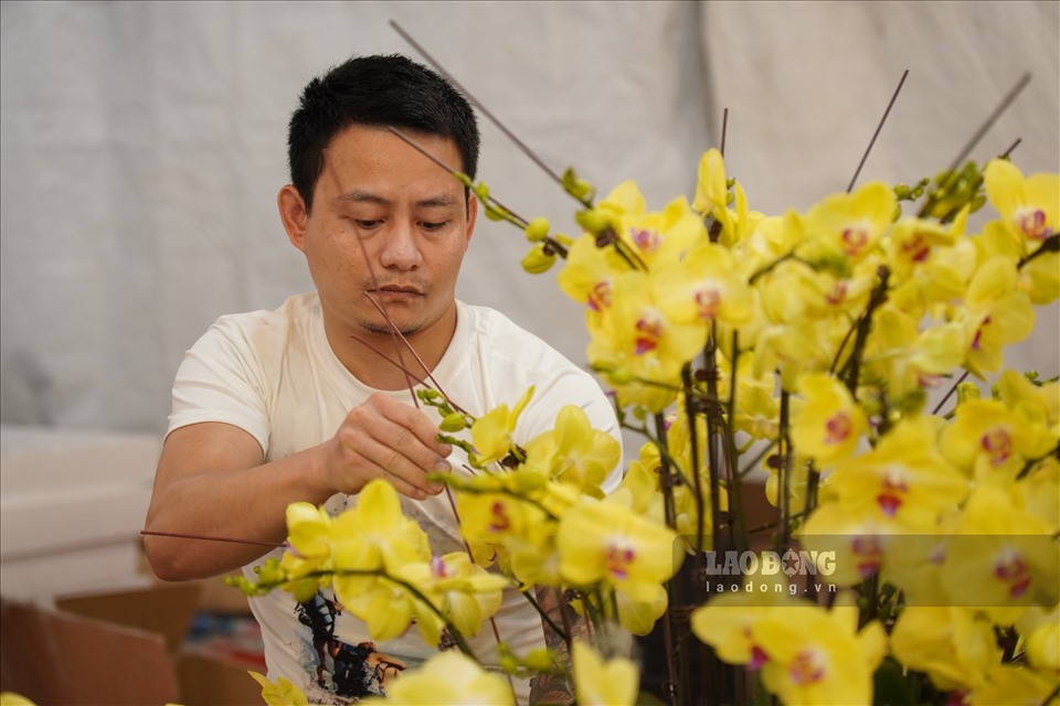Anh (28 tuổi, Hà Nam) cho biết, để cắm một chậu hoa nhỏ và trung bình, mỗi nghệ nhân mất khoảng 1-2 tiếng. Mỗi ngày, thu nhập từ việc cắm hoa giao động từ 2-3 triệu đồng.