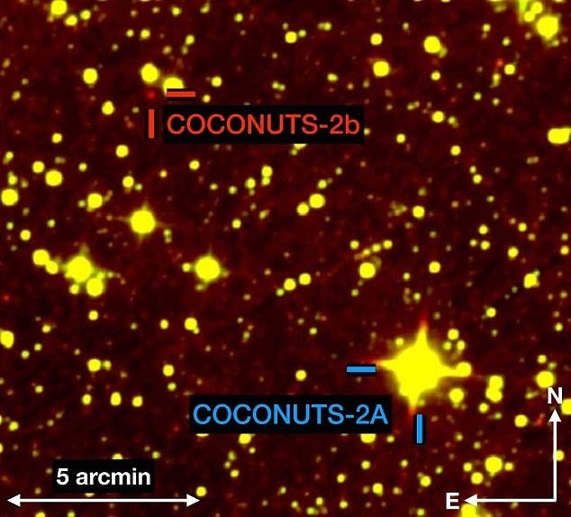 Khoảng cách từ COCONUTS-2b đến ngôi sao của nó xa hơn 6.000 lần so với khoảng cách từ Trái đất đến Mặt trời. Ảnh: Đại học Hawaii