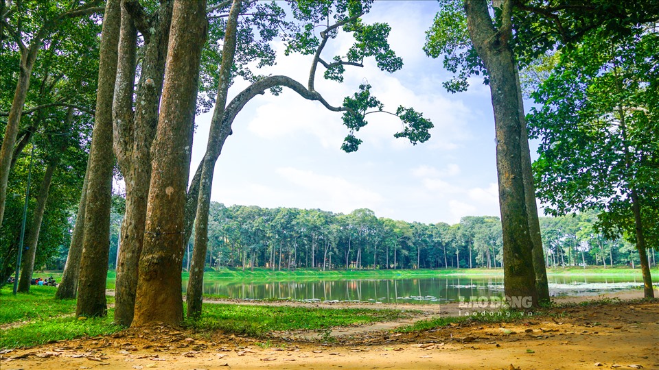 Cách trung tâm thành phố Trà Vinh không xa là Ao Bà Om, thiên đường của những cây có những bỗ rễ “khổng lồ”.