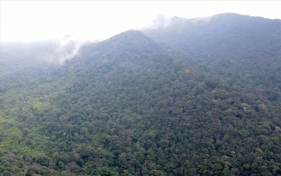 Những cánh rừng trên đỉnh Trường Sơn thuộc huyện miền núi Hướng Hóa, tỉnh Quảng Trị còn khá hoang sơ dù ở cạnh các bản làng của người đồng bào thiểu số.